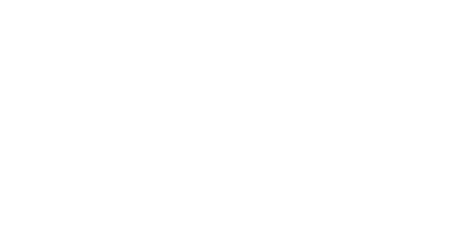 Bold Beans Coffee